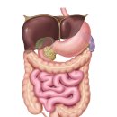 녹월한의원 이미지