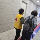 적십자병원안내 봉사 이미지