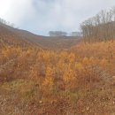 품걸리오지마을길(봄내길 6코스) 이미지