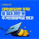 안정 티스토리