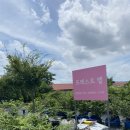 포레스트반디 | 용인 포레스트벨 여름방문 후기｜농장체험부터 미니 물놀이장까지