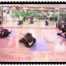 라인나이트댄스 이미지