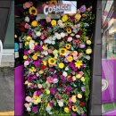 코스믹캣도넛 이미지