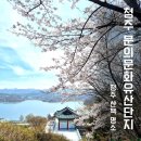 동작문화유산의 시간산책 | 청주 문의문화유산단지 주말 방문 후기 대청호 보며 봄꽃 산책하기 좋은 곳