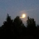 깨구리반찬 이미지