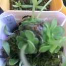 이노카정비 이미지