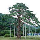 송학경로당 이미지