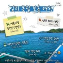 보홀 호핑투어 디프리호핑 발리카삭 거북이 가족여행 추천 후기
