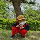 숲속해바라기유치원 이미지