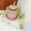 종로주얼리공방 플롬에서 미니티아라 원데이클래스 받았어요