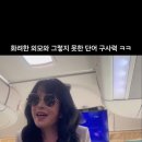 [유튜브]적우언니의 팬클럽 버스 습격사건🚌💕 이미지