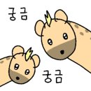 쁘띠놀무인키즈카페
