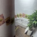 뤄리뤄소