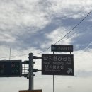씨유 마포양화공원점 | 서울 댕댕이 여기 안가면 손해! / 마포 반려동물 캠핑장 애견인 내돈내산 찐 강추!!