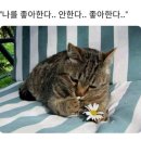 마시쩡 - 군포시 수리산로 40 | 마시쩡