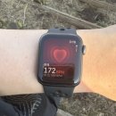 세븐일레븐제주일주서로점 | 1월의 제주 2박 3일🍊✈️