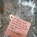 매콤달달 잘난찜닭 배달 후기