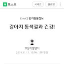 강아지 변색깔과 건강 이미지