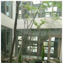 본느마망 산후조리원 이미지