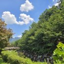 도봉-도봉-서울도봉-2080 이미지