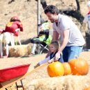 호박농장 이미지