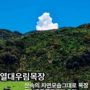 우림목장 이미지