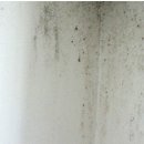베란다 곰팡이 결로방지- 친환경 마감재 규조토 셀프 시공기. 이미지