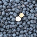 선우농장 이미지