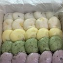 명지 기정떡 맛집 바다기정 오색 기정떡 먹어본 후기