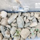 용인이동초 병설유치원 놀이터 | 경기도 용인시 ◇◇ 초등학교 병설 유치원 모래 놀이터 소독 실시