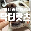자동차종합카닥터 | 강아지 종합 영양제 닥터랏츠 기호성좋은 강아지영양제