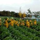 다애어린이집 이미지