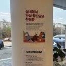 더쿠 | 김포 애견카페 멍더쿠 내돈내산 솔직후기｜강아지랑 가기 좋은 카페 추천🐶