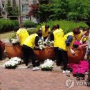 신설이용원 이미지