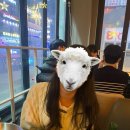 거진 만남의 광장 이미지