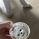 멍냥과자 이미지