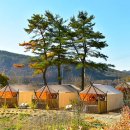 보은글램핑 이미지