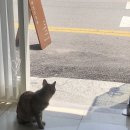 아남키센타 네이버블로그