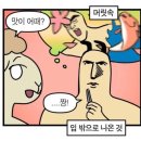 김포상회