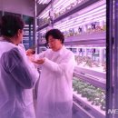 형태농장 이미지