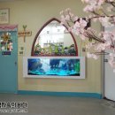 푸른자연유치원 이미지