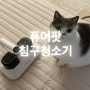 번개세탁소 | 고양이 강아지 털 청소 퓨어팟 펫홈 무선 침구청소기 집먼지진드기 제거 UV살균 대박
