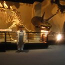 공룡박물관 이미지