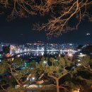 통영성인나이트(통영나이트) 이미지