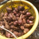 이화숙농장 이미지