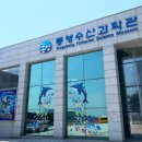 통영미래수산 | 통영 수산과학관 해양박물관 아이와 실내 가볼만한곳