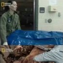 신원농장 이미지