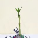 키즈창작아트