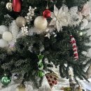 뱅크트리 | 11.10 - 16 / 이날라에서 분짜, 써니뱅크로 이사, 전 집주인 RTA에 신고