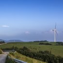 삼양목장 이미지